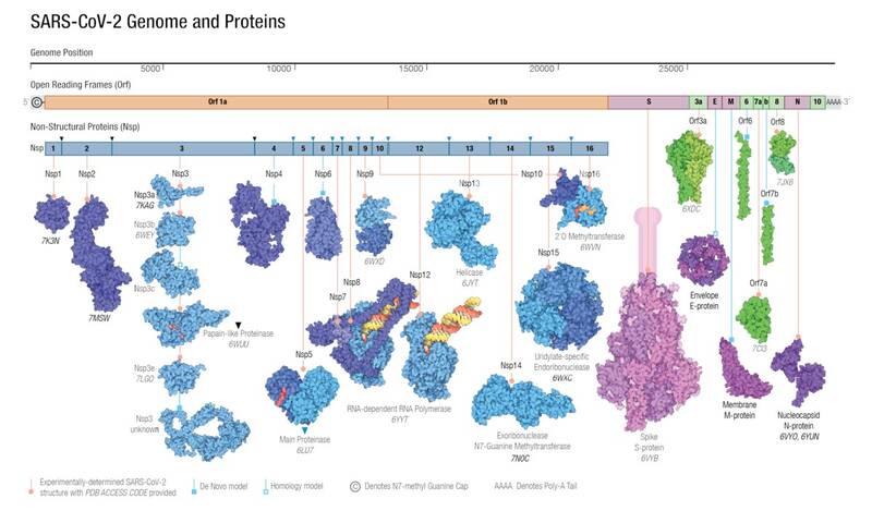افشای اسناد هولناک از آزمایشگاهی بودن ویروسهای تنفسی/ نسلکشی بیرحمانه در لباس خدمت به بشر+اسناد و تصاویر