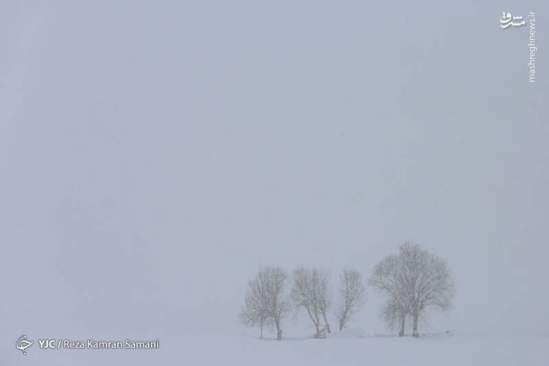 عکس/ حاشیه زایندهرود زیر بارش سنگین برف