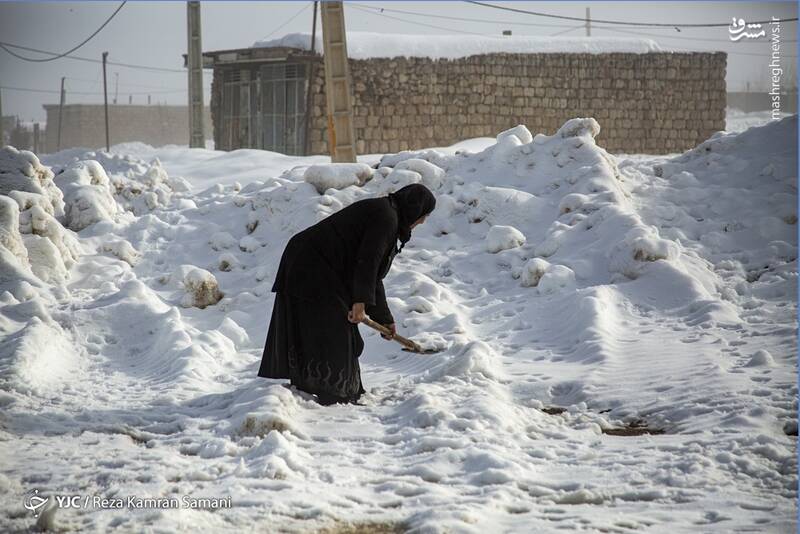 عکس/ حاشیه زایندهرود زیر بارش سنگین برف