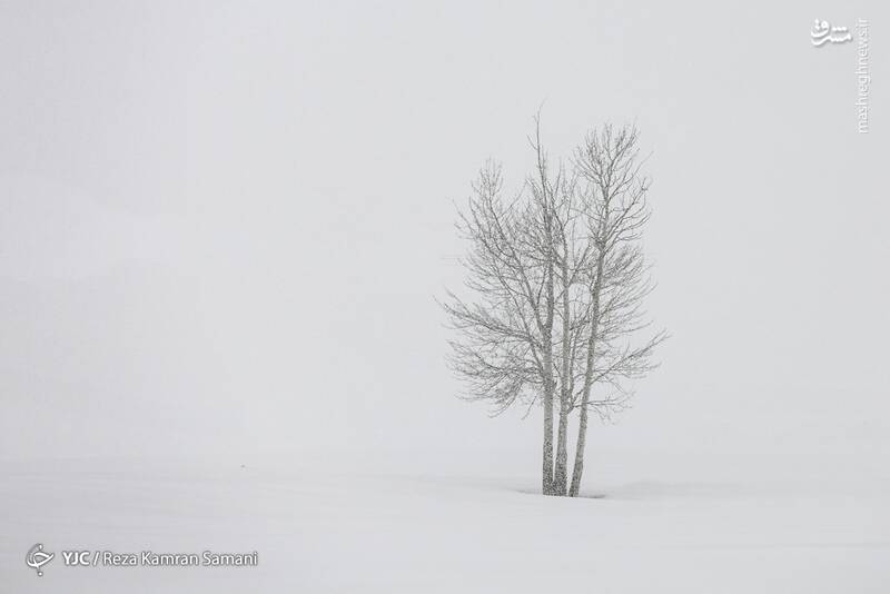 عکس/ حاشیه زایندهرود زیر بارش سنگین برف