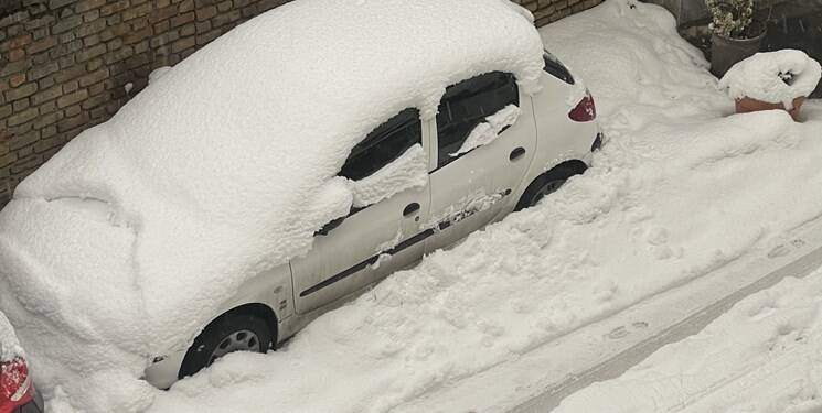 برف سنگین در شمیرانات +عکس