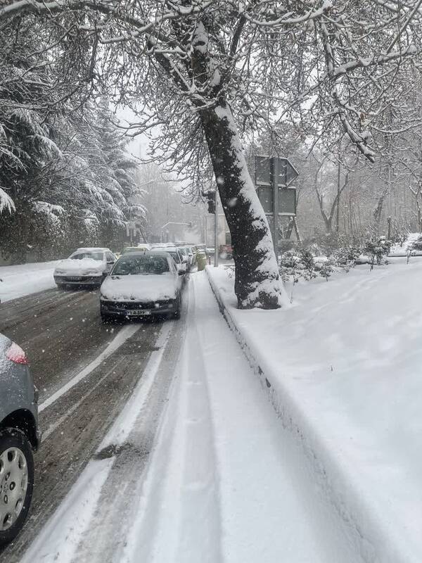 برف سنگین در شمیرانات +عکس