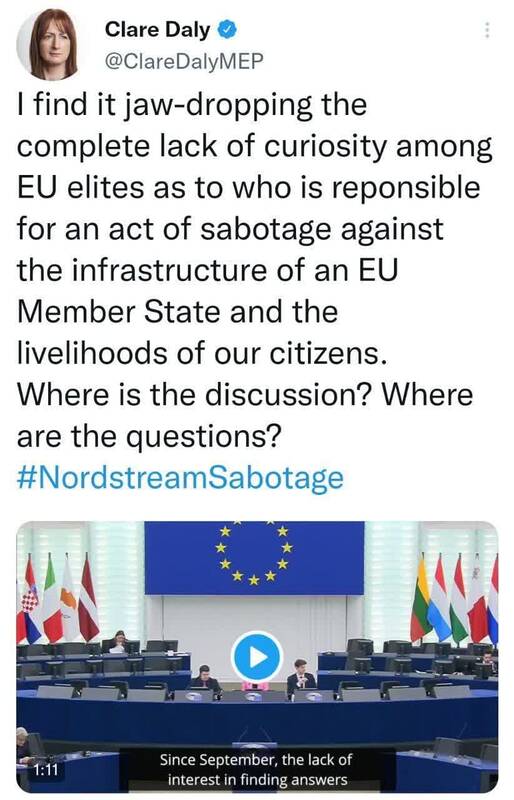 از اروپایی بودن خود شرمسارم!