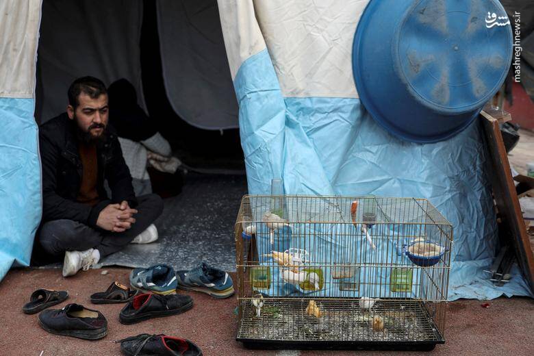 محمد، 26 ساله، اهل قهرمان مراس، در چادر خود در کنار پرندگانش در ورزشگاهی که به عنوان مکانی برای اسکان زلزله زدگان اختصاص پیدا کرده است.