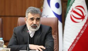 آب سنگین ایران از نظر کیفیت در رتبه نخست دنیا قرار دارد / پروتکلهای ایران برای ورود بازرسان آژانس به کشور / سهم زنان در صنعت هسته ای ایران