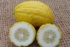 خواص معجزهآسای این میوه برای سلامتی