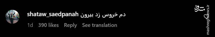 ربع پهلوی رفت سر اصل مطلب + عکس 10