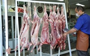 تاثیر واردات گوشت و دام زنده بر بازار چیست؟