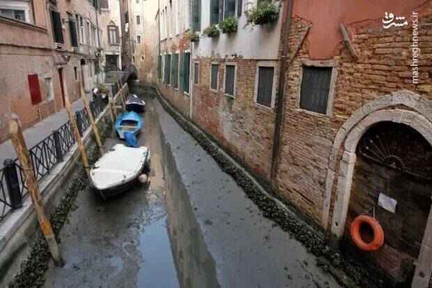 ونیز خشک شد+ عکس