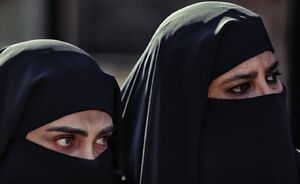 سقوط نظرسنجیهای معتبر با کارویژه سفارشی برای «سقوط»/ رپرتاژ آگهی سریال ضدامنیتی با چه هدفی منتشر شد؟ + عکس