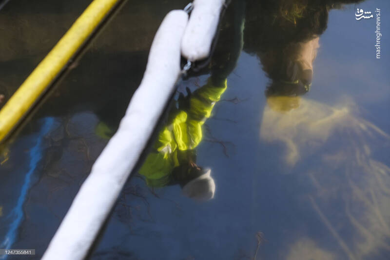 عکس/ پاکسازی محل انفجار قطار سمی اوهایو