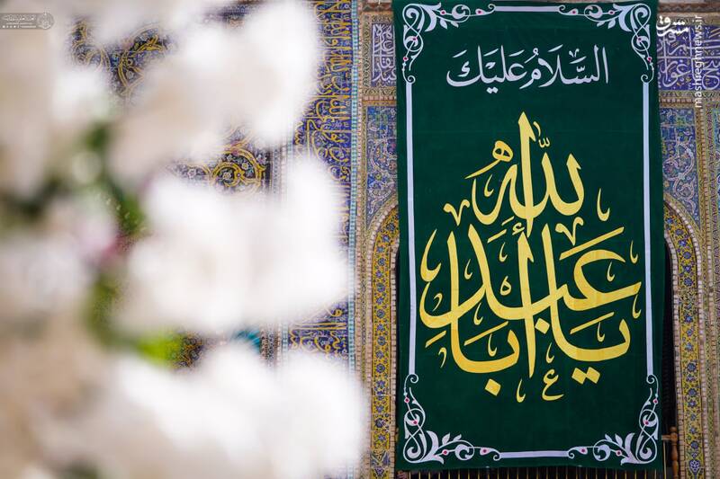 عکس/ نصب کتیبههای ولادت سرداران کربلا در نجف