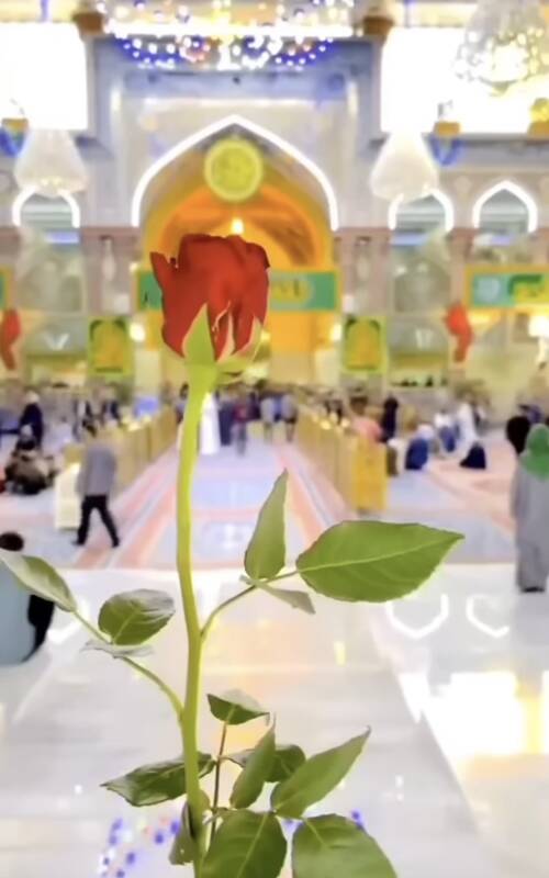 جشن تولد خادمان حرم حسینی برای امام سوم شیعیان+فیلم