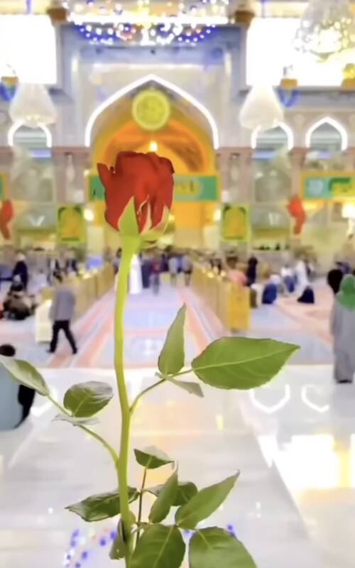  جشن تولد خادمان حرم حسینی برای امام سوم شیعیان+فیلم