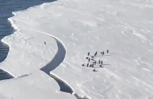 ماجراجویی یک پنگوئن روی یخ‌ها