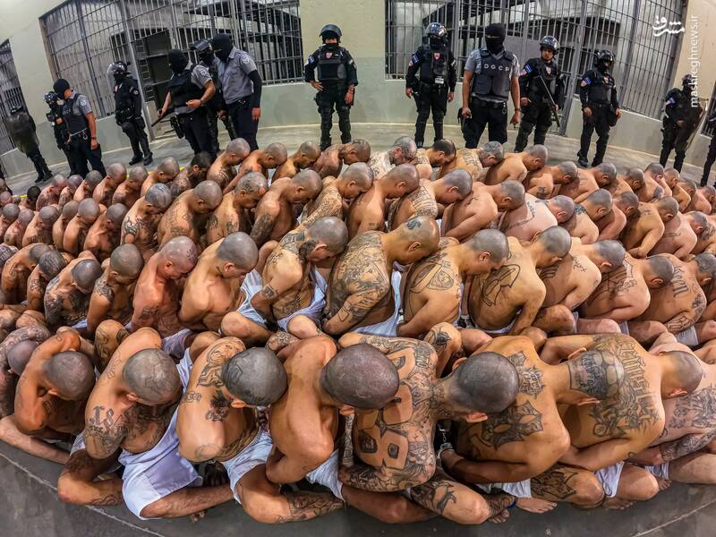 یک زندان بزرگ در السالوادور ۲۰۰۰ تبهکار یک باند را پذیرش کرده که پس از ورود متوجه شدند تخت برای همه کافی نیست و اصلاً تشک وجود ندارد.
