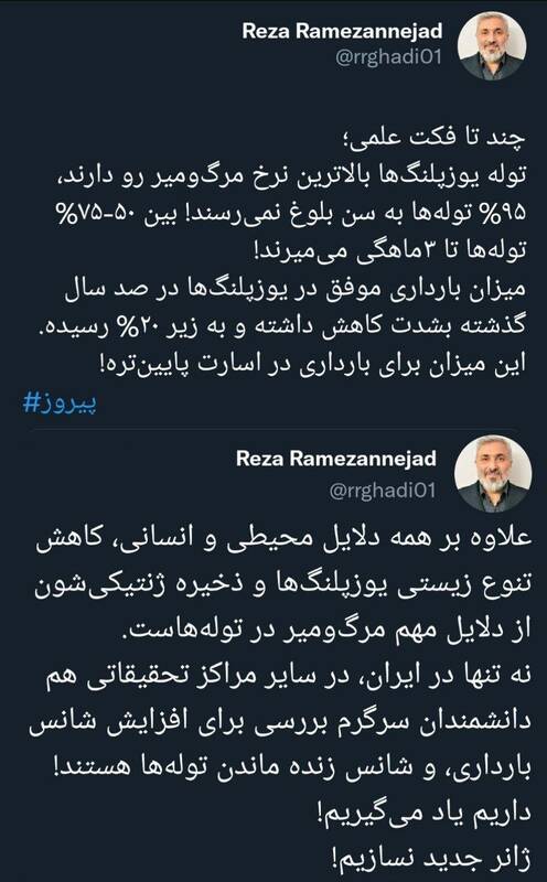 چندتا فکت علمی درمورد توله یوزپلنگها