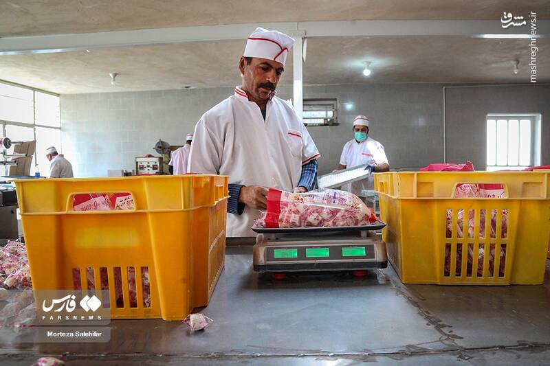 عکس/ پایتخت "گَز" ایران