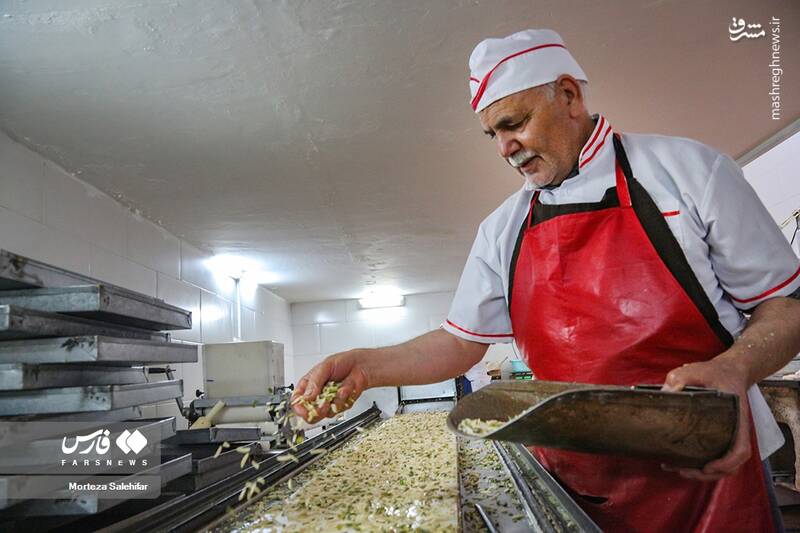 عکس/ پایتخت "گَز" ایران