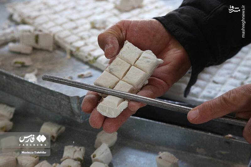 عکس/ پایتخت "گَز" ایران