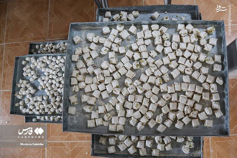 عکس/ پایتخت "گَز" ایران