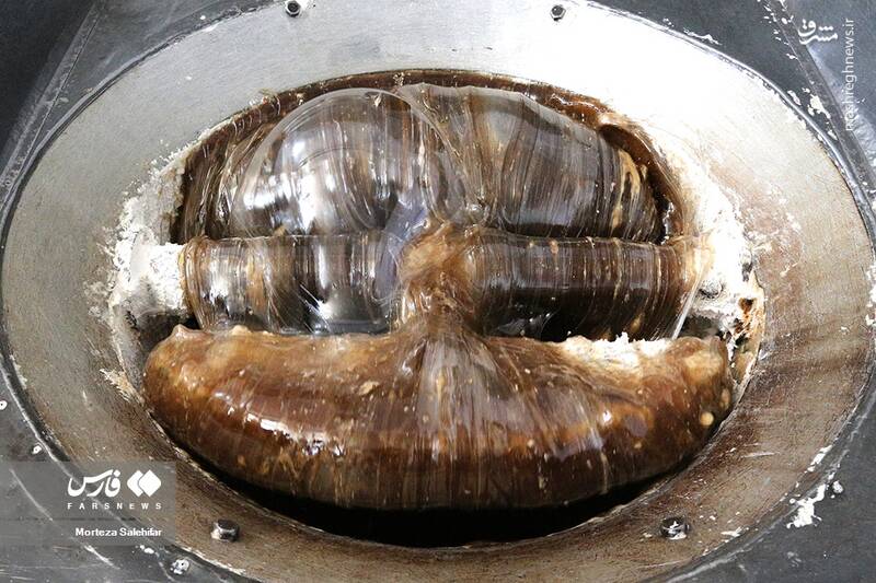 عکس/ پایتخت "گَز" ایران