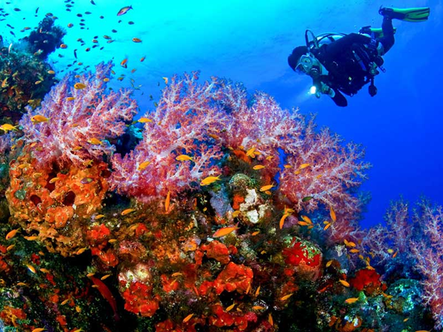 بهترین تفریحات آبی جزیره کیش را میشناسید؟