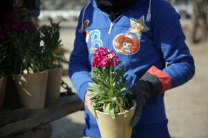 آماده‌سازی فضای شهری مشهد برای استقبال از بهار