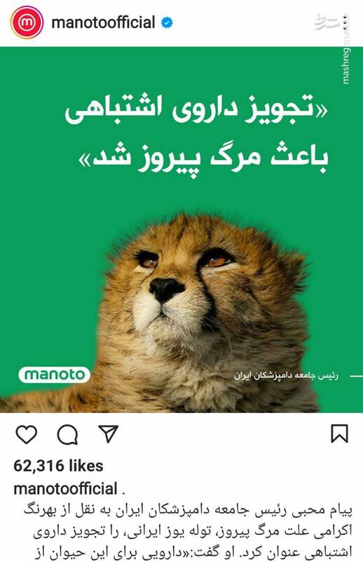 کثافت خانه ای به اسم منوتو!+ عکس