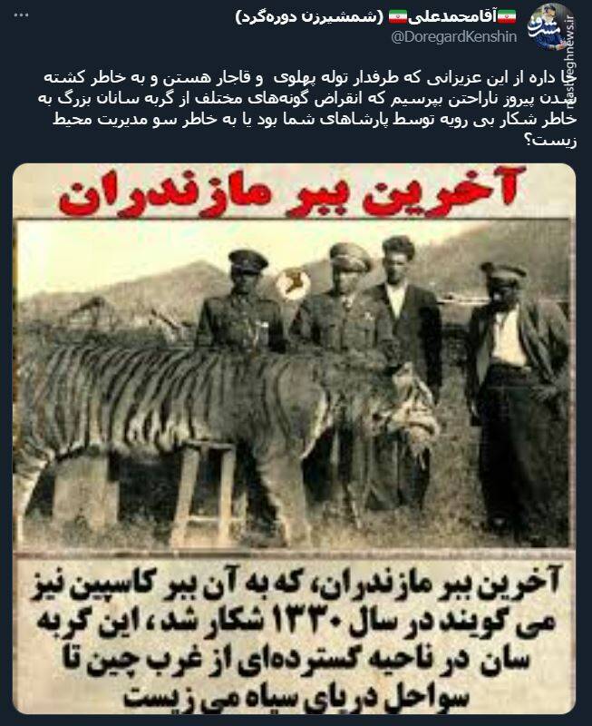 اشک تمساح شکارچی برای پیروز + عکس 9