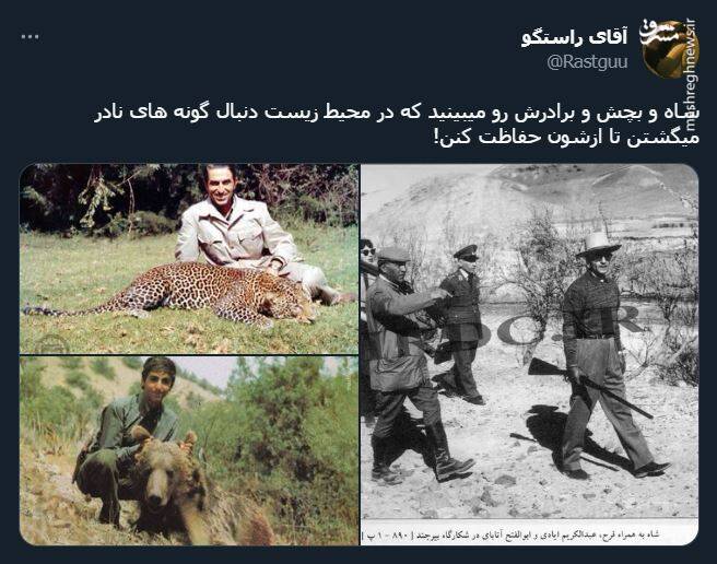 اشک تمساح شکارچی برای پیروز + عکس 5