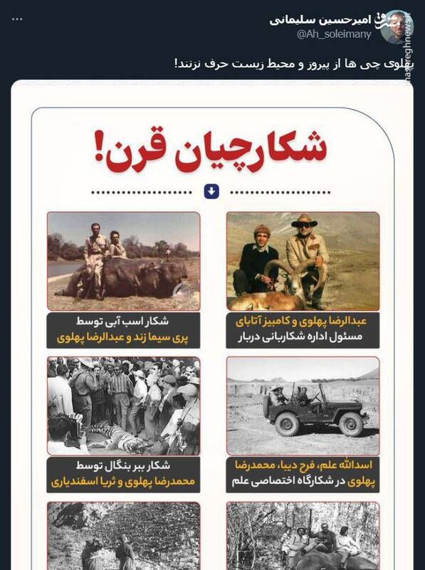 اشک تمساح شکارچی برای پیروز + عکس 2
