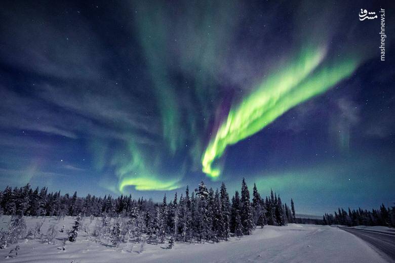 پاجالا - سوئد / 10 فوریه 2022