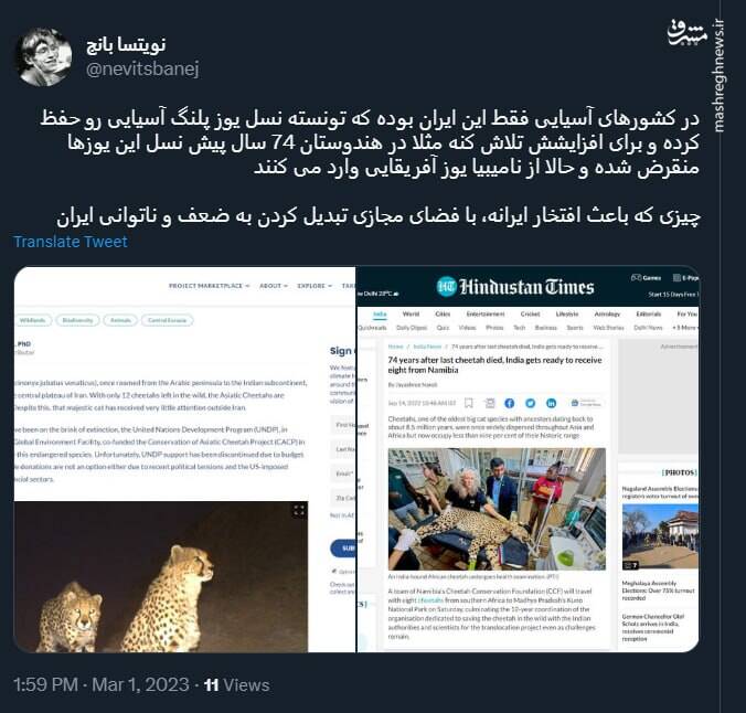 تنها کشوری که تونسته نسل یوزپلنگ آسیایی رو حفظ کنه+ عکس