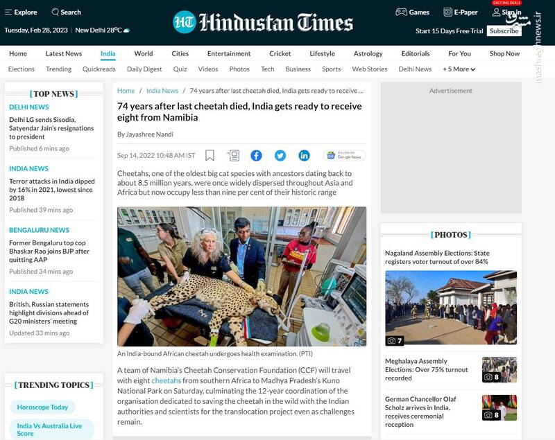 تنها کشوری که تونسته نسل یوزپلنگ آسیایی رو حفظ کنه+ عکس