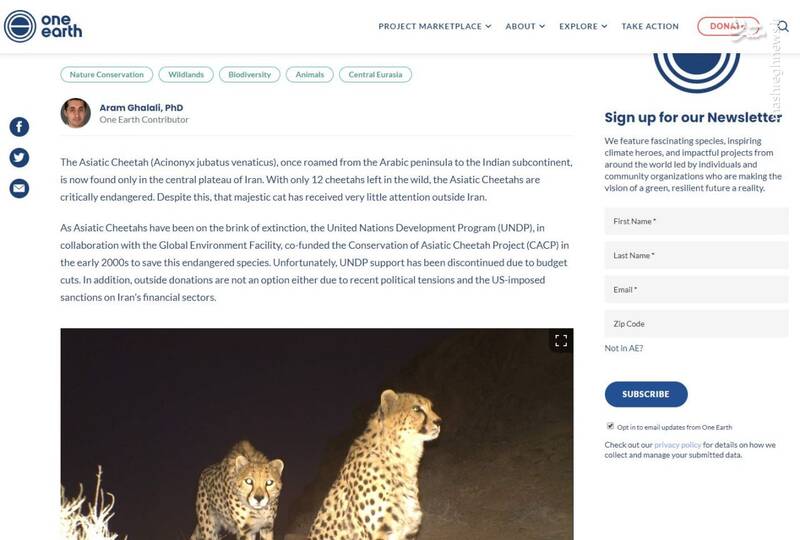 تنها کشوری که تونسته نسل یوزپلنگ آسیایی رو حفظ کنه+ عکس