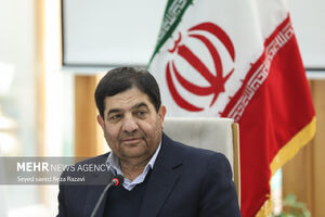 دیدار فتحاللهزاده با معاون اول رئیس جمهور