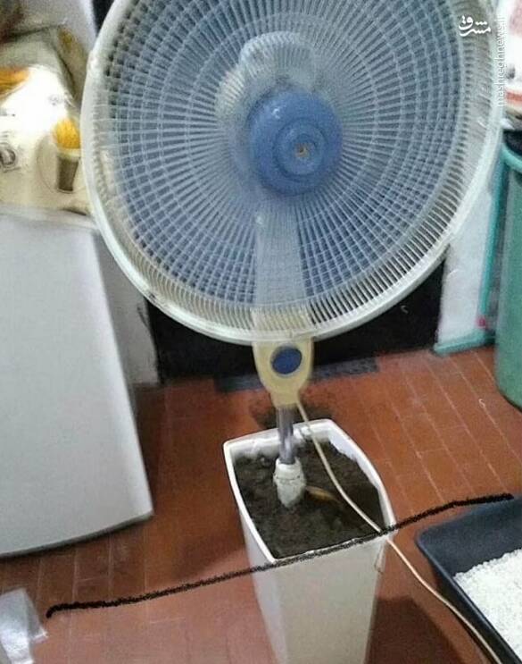 قرار دادن یک پنکه شکسته درون یک گلدان پر ازخاک