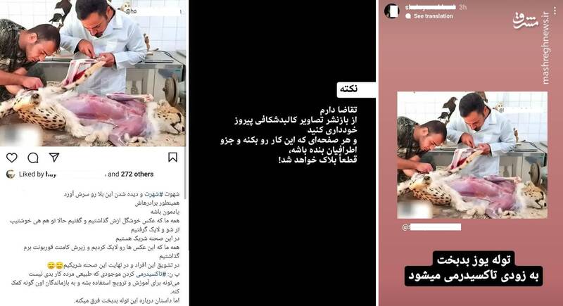 تصاویر پوستکندنِ «پیروز» واقعی است؟ +عکس