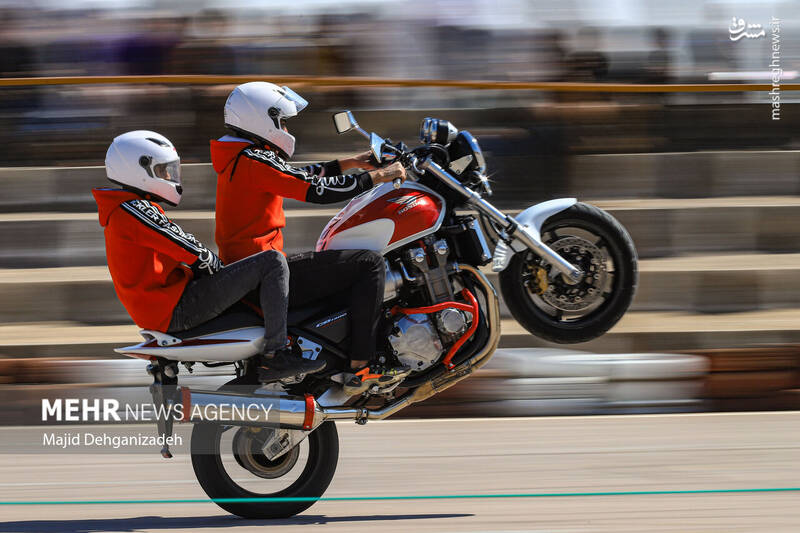 عکس/ هیجان به وقت جوانی