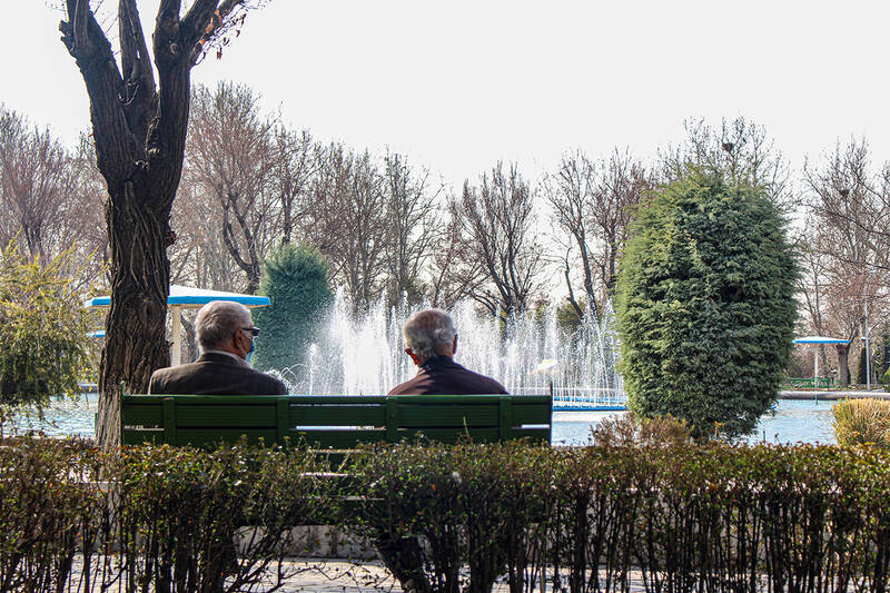 عکس/سالمندان و ورزش صبح گاهی