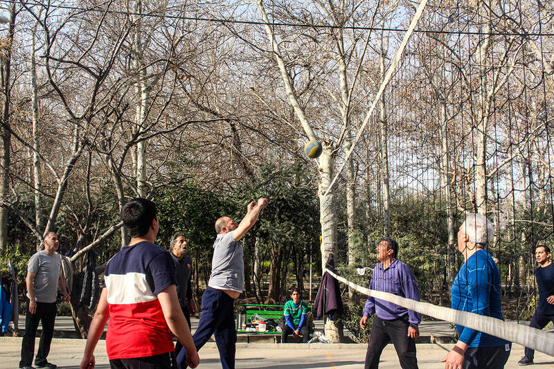 عکس/سالمندان و ورزش صبح گاهی