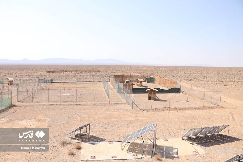 آخرین تصاویر از مادرِ «پیروز»/ سونوگرافی «ایران» انجام نشده است