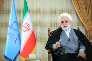 این وزیر باید به زندان برود/ راهکار چپهای نجیب برای دردسر "چپهای نانجیب"