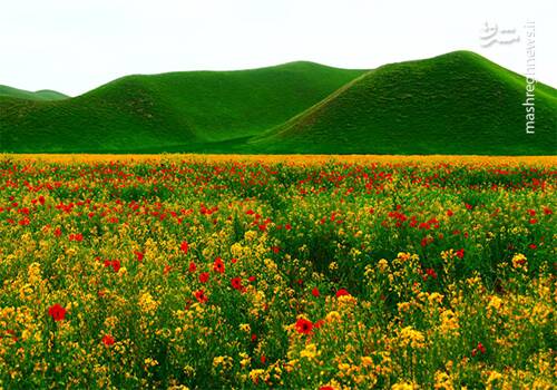 آشنایی با سرزمین دشتهای سبز مخملی و کوههای بلند +تصاویر