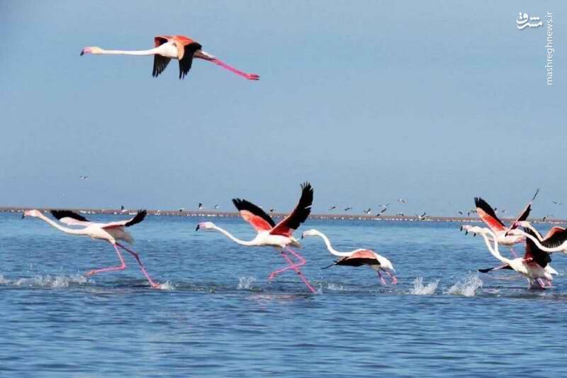 آشنایی با سرزمین دشتهای سبز مخملی و کوههای بلند +تصاویر