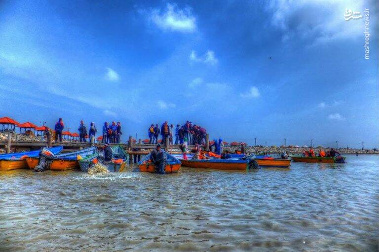 آشنایی با سرزمین دشتهای سبز مخملی و کوههای بلند +تصاویر