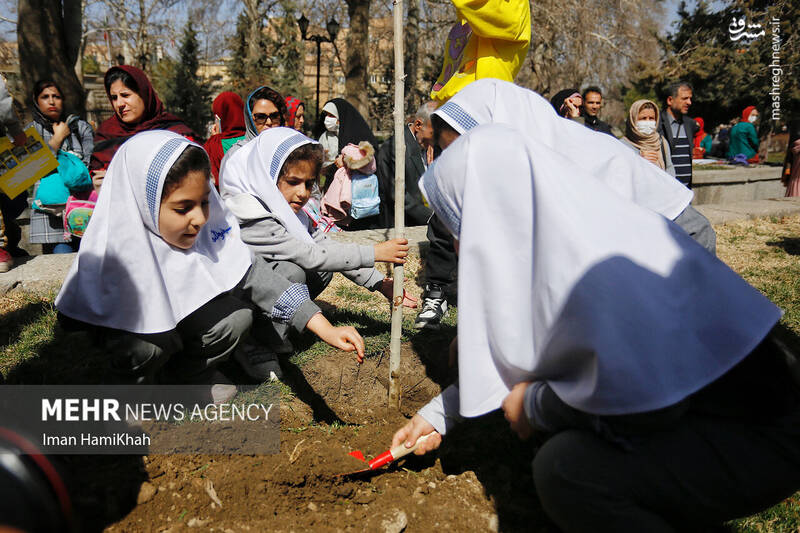 عکس/ مراسم روز درختکاری در همدان