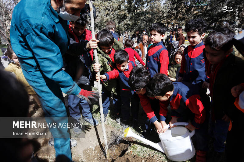 عکس/ مراسم روز درختکاری در همدان