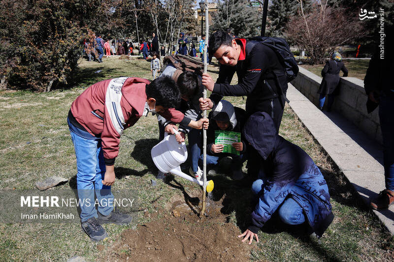 عکس/ مراسم روز درختکاری در همدان